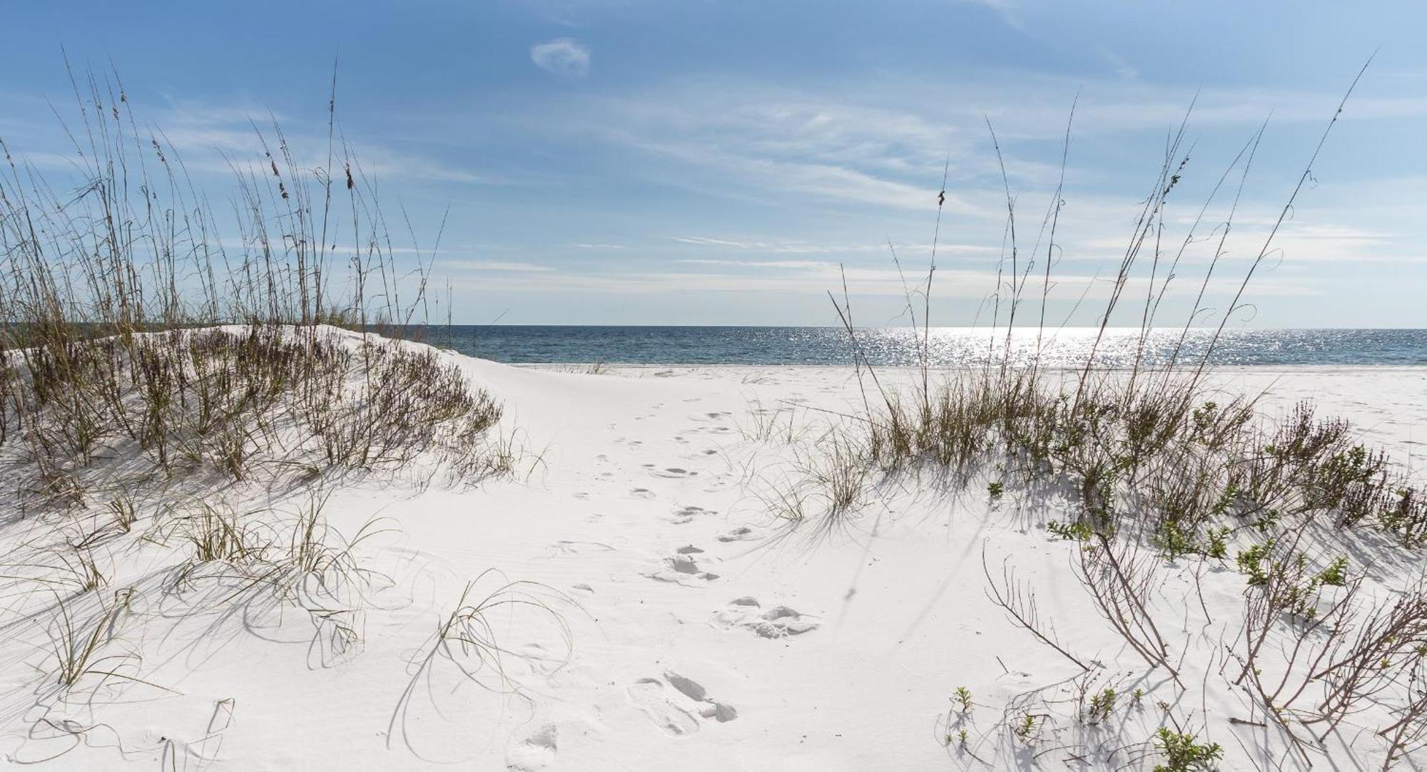 Nautilus 1201 - Gulf Front 2 Bedroom Huge Wrap Around Balcony 2Nd Floor! Fort Walton Beach Bagian luar foto